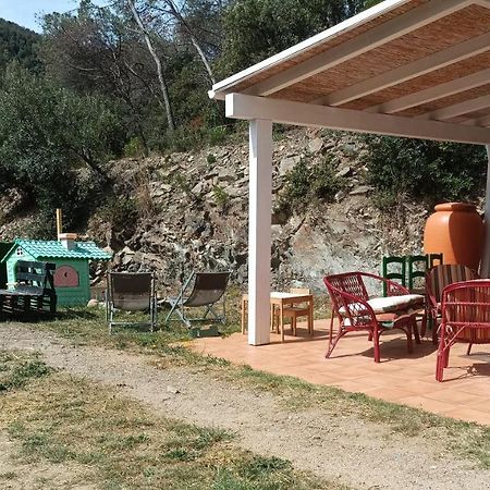 Cottage Eco-Friendly Barcelona Country Side La Garriga Kültér fotó