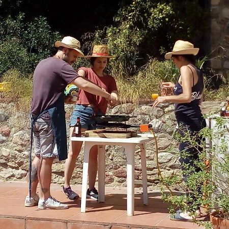 Cottage Eco-Friendly Barcelona Country Side La Garriga Kültér fotó