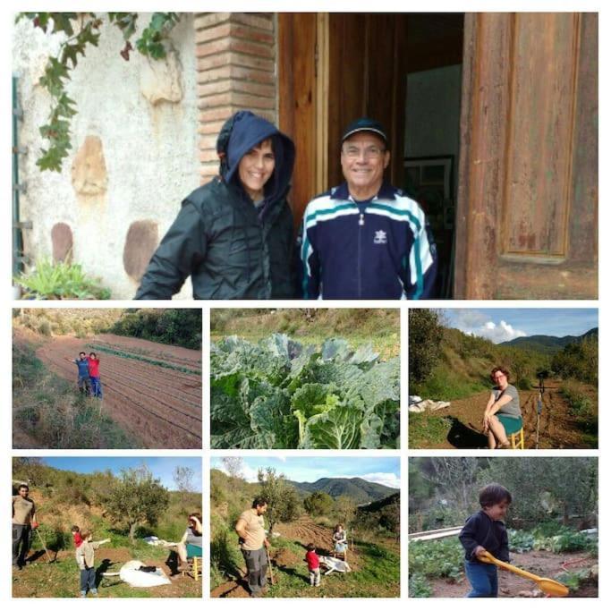 Cottage Eco-Friendly Barcelona Country Side La Garriga Kültér fotó