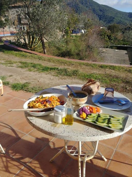 Cottage Eco-Friendly Barcelona Country Side La Garriga Kültér fotó