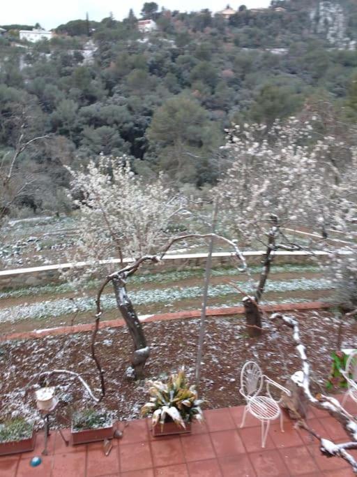 Cottage Eco-Friendly Barcelona Country Side La Garriga Kültér fotó